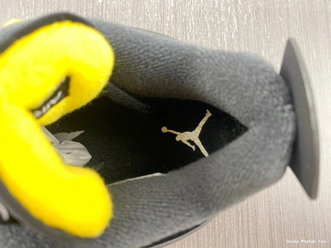 Retro 308497-017 4 2023 Jordan 